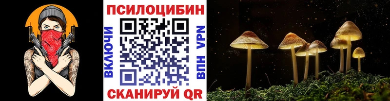 хочу Лесосибирск блэк спрут рабочий сайт Галлюциногенные грибы ЛСД